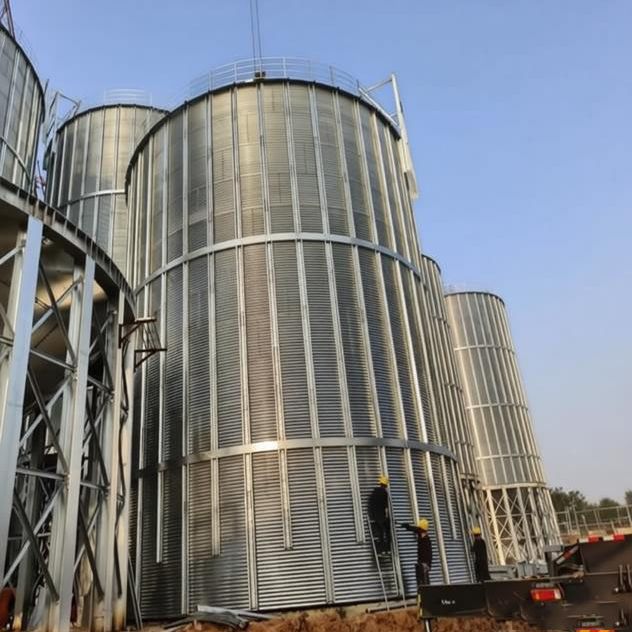 Rice Bran Silo