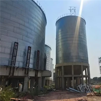Soybean Storage Silo