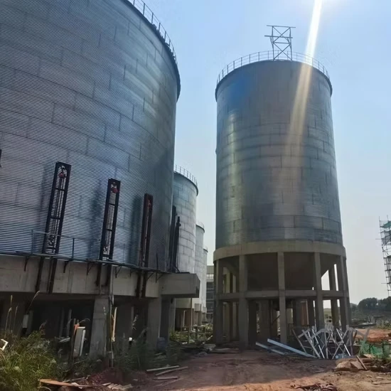 Soybean Storage Silo